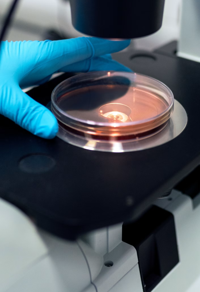 Istology Lab